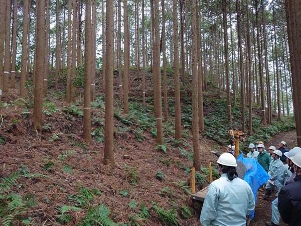 山林見学