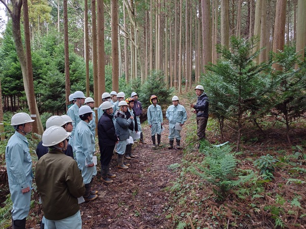 山林見学