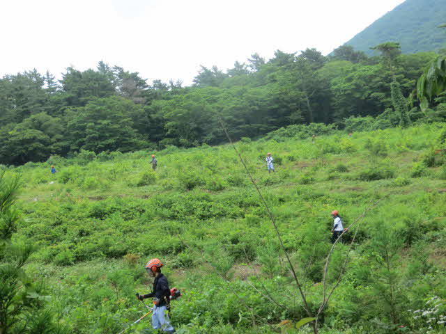 植樹祭１