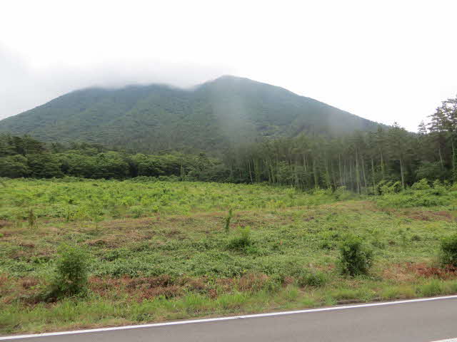 植樹祭２